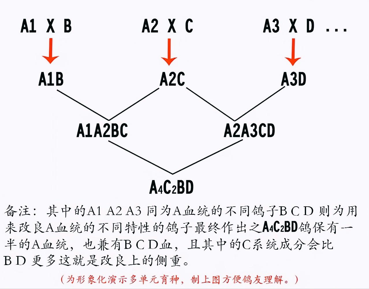 陈文广教授之引育结合和变与不变