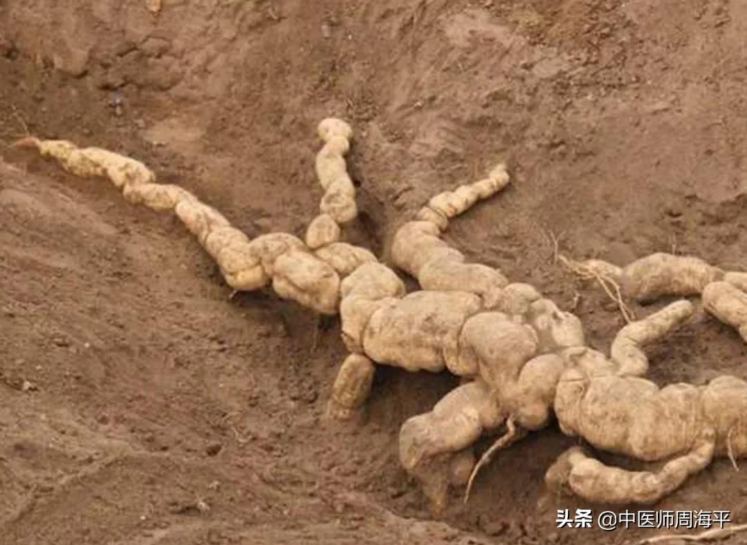 家暴致肋骨骨折两根案例,家暴骨折了怎么处理