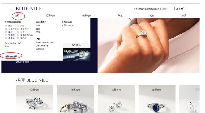 bluenile现在能在哪买,bluenile购买攻略