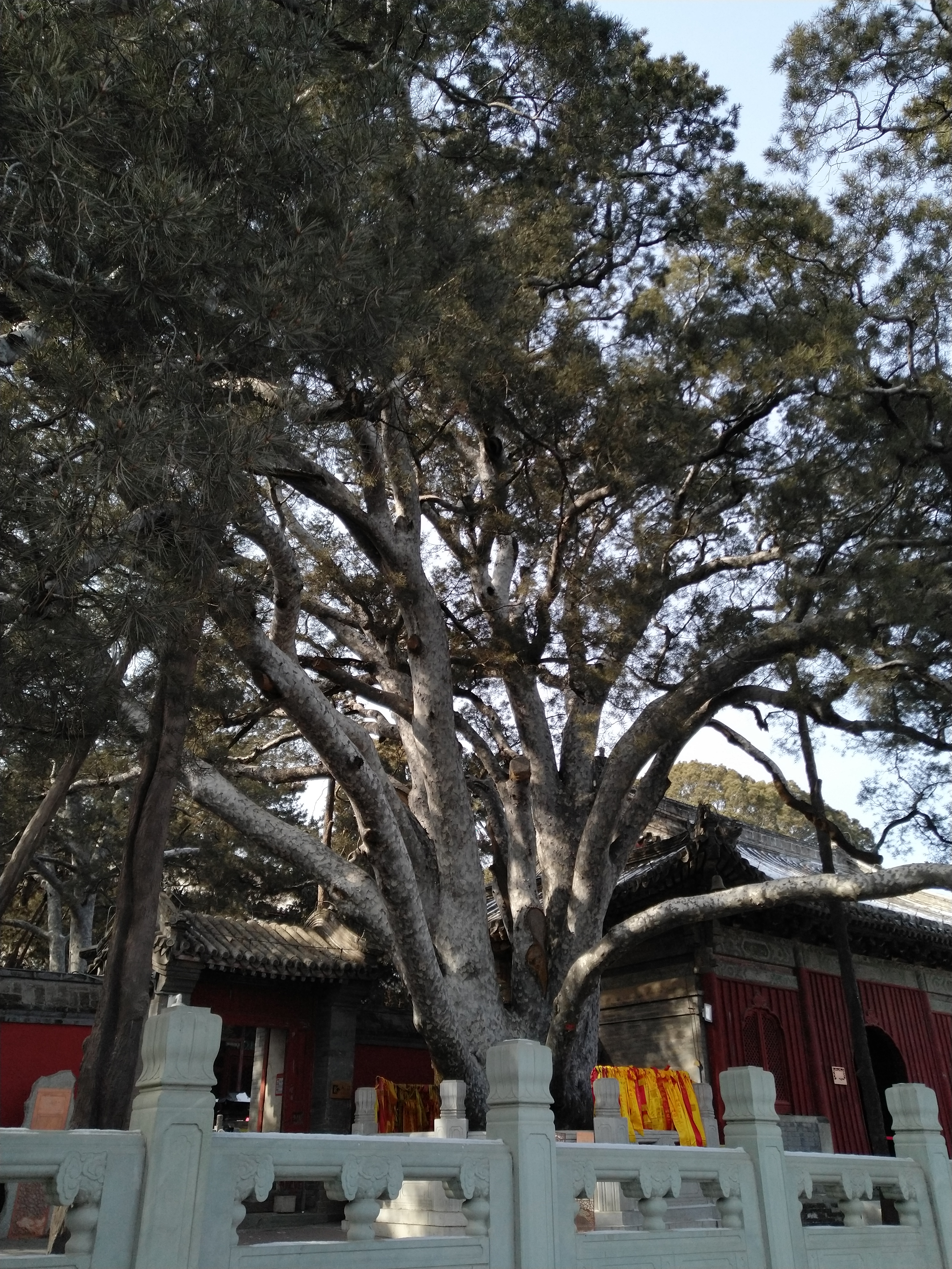 北京卢沟桥一日游,潭柘寺八奇洞一日游