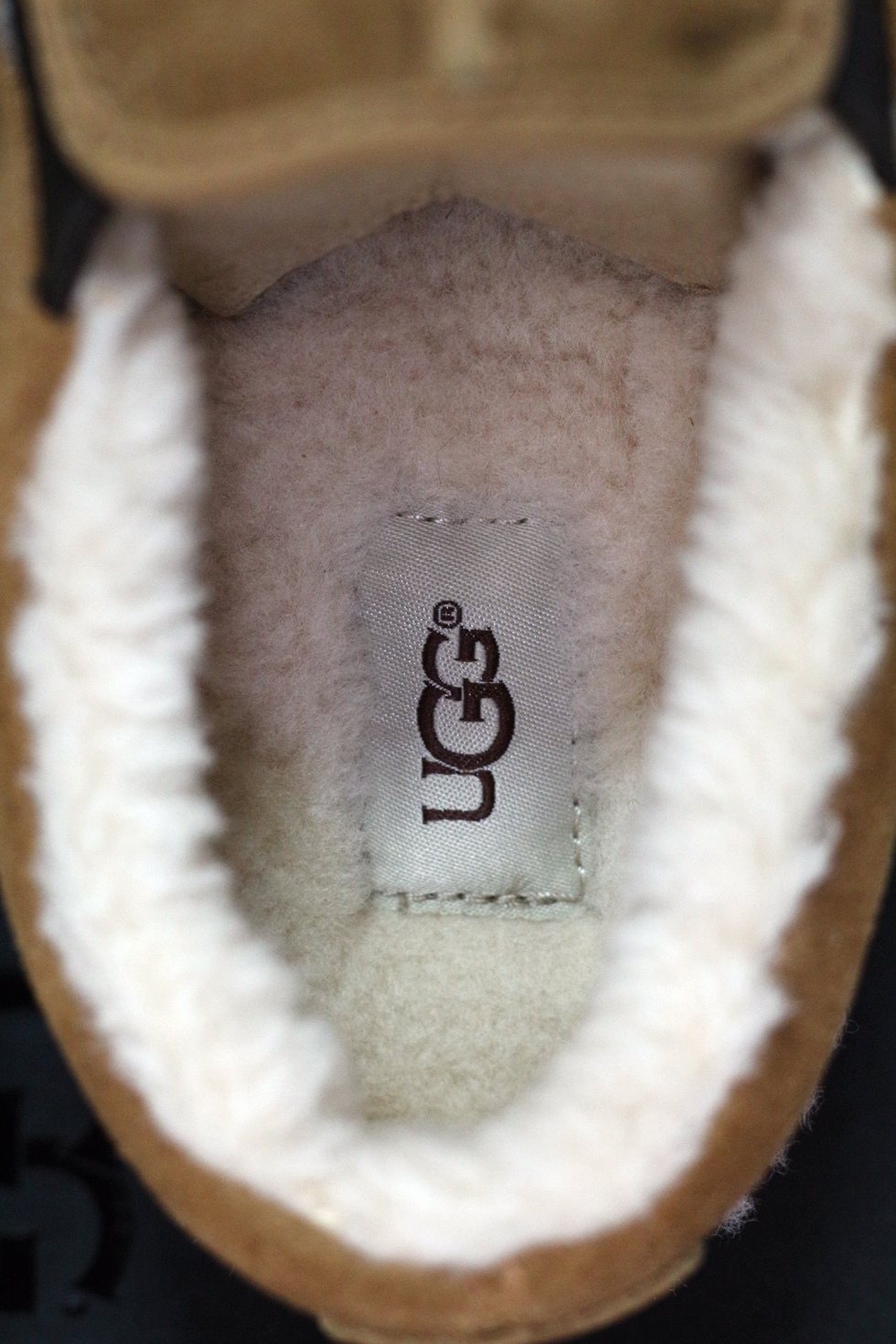 ugg男人,ugg男女鞋