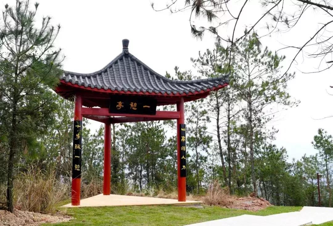 离赣州最近的森林公园还有多远,赣州最好玩的公园不要门票