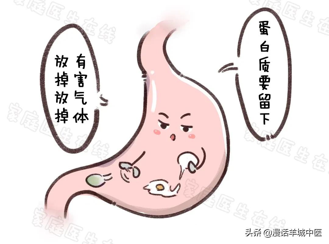 闻臭屁能防癌,闻臭屁有助长寿吗