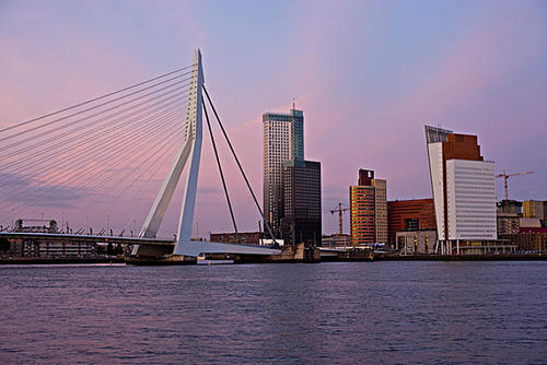 荷兰十大名人,荷兰的名人