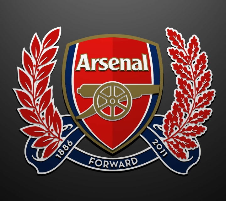 30队队徽,各足球队队徽大全