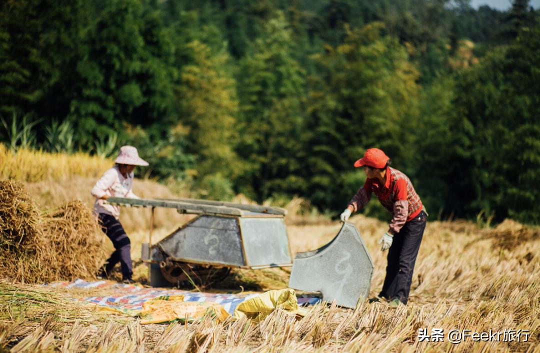私藏菲律宾同款空中佛手，落胃美食从早吃到晚，这座广东小城该火