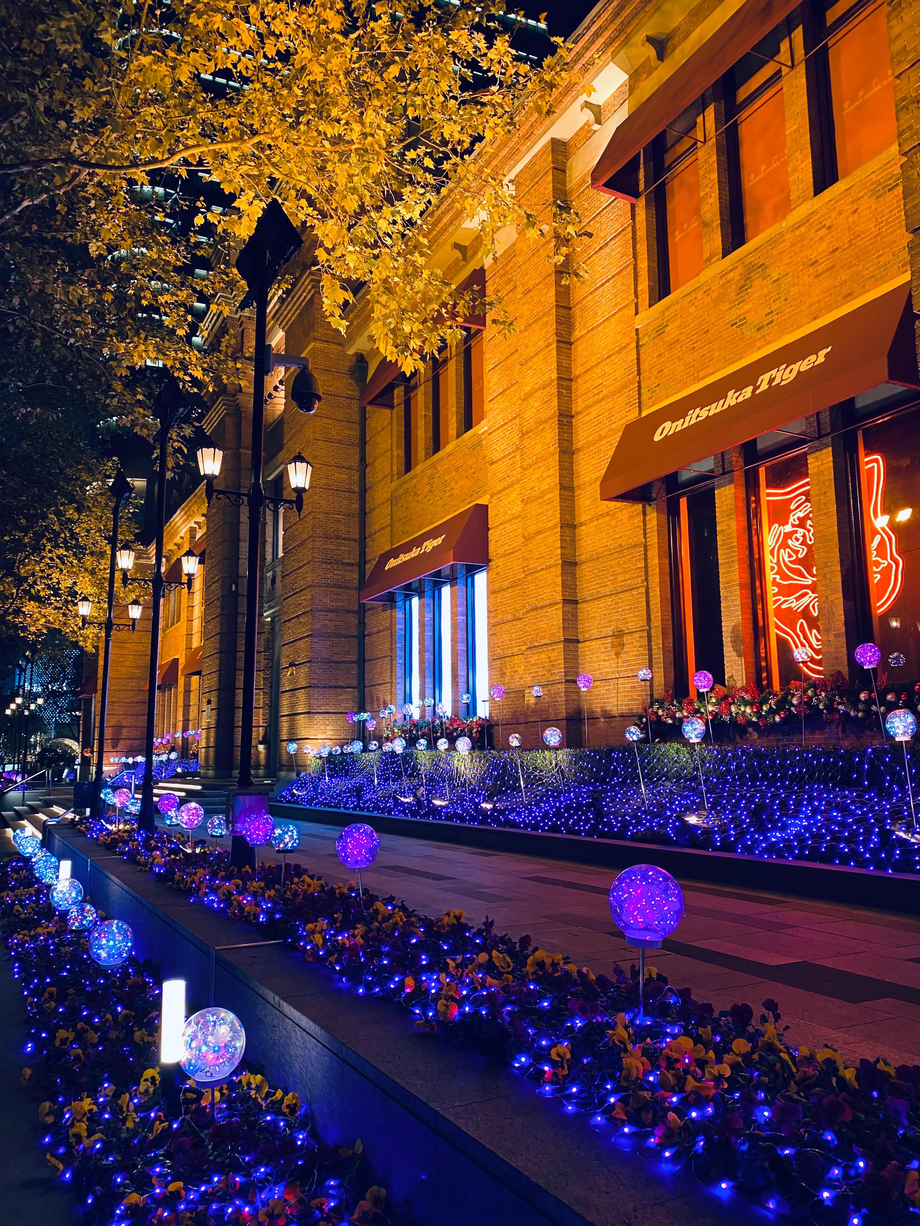 上海中环广场鬼冢虎,上海中环广场照片