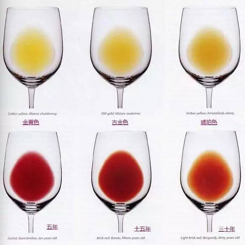 红酒入门如何挑选红酒品牌,勃艮第村庄级红酒入门