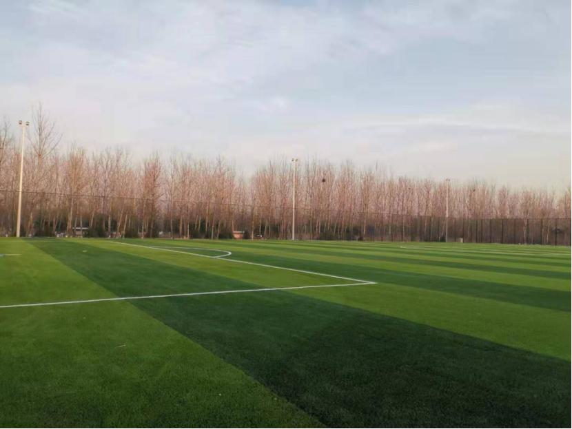 家门口建起了足球场,家门口踢足球