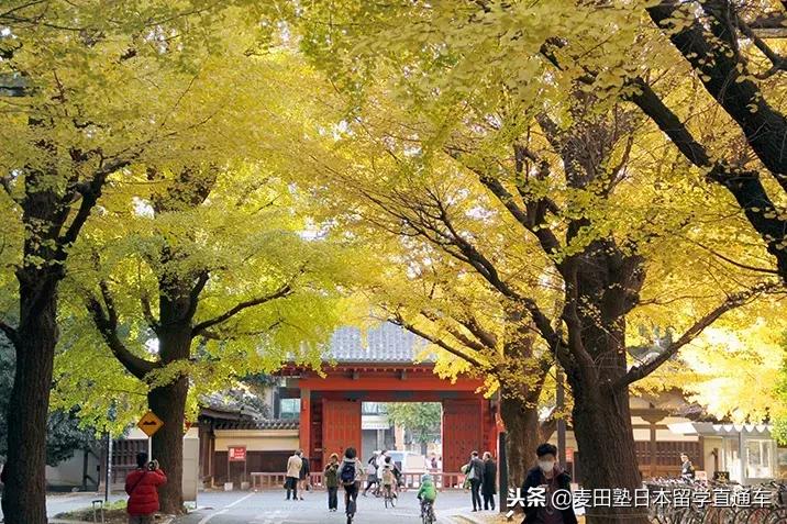 日本7所帝国大学,日本八所帝国大学