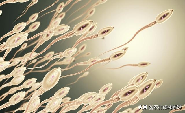 打败2亿个竞争者,战胜上亿竞争对手来到这个世界