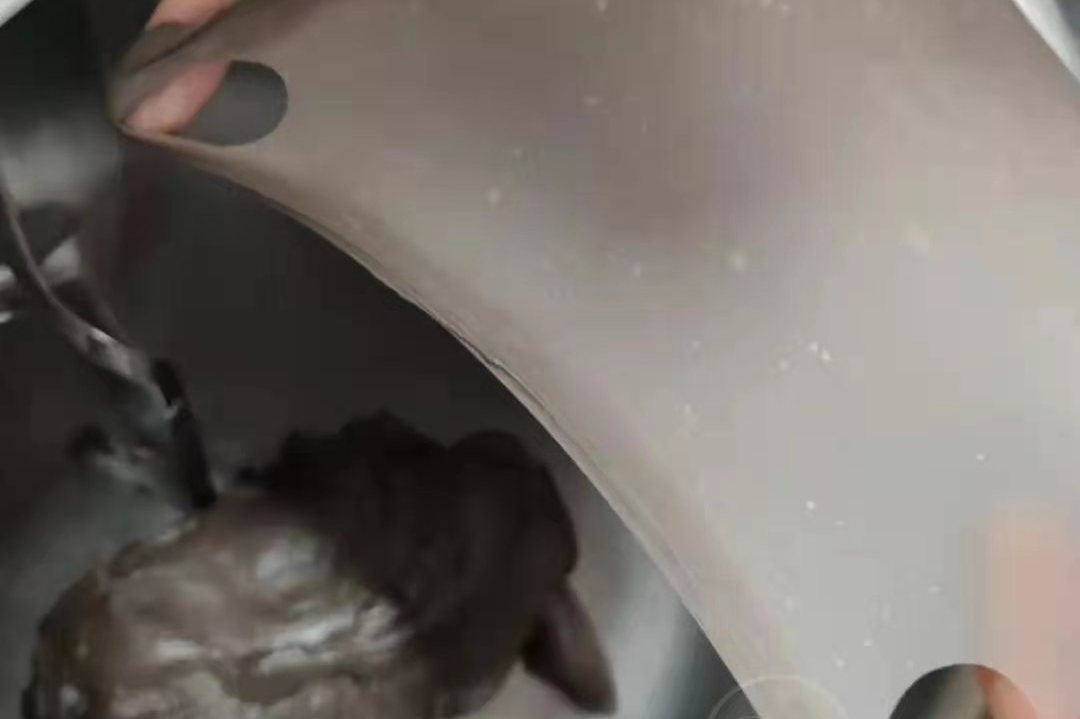 营养又美味的吐司,顺盈猪拉虎创意吐司