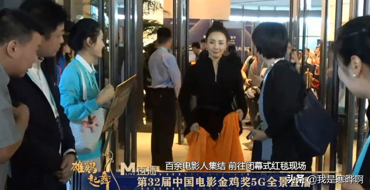 金鸡奖袁泉造型,赵薇金鸡奖视频完整版