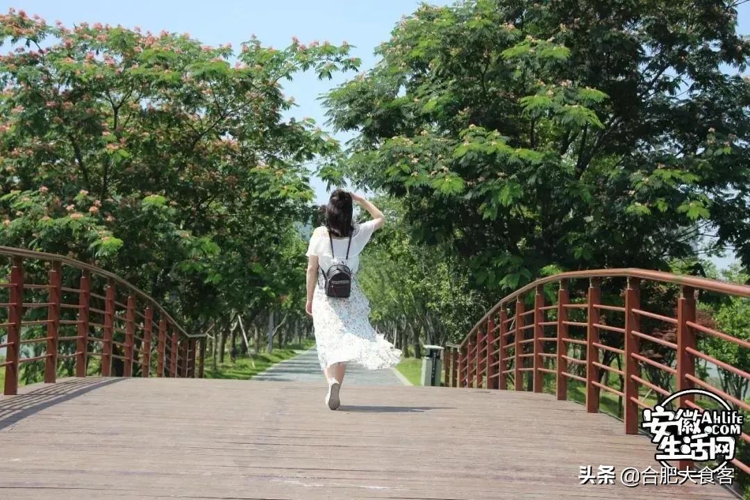 2020年,在这50个地方遇见不一样的合肥