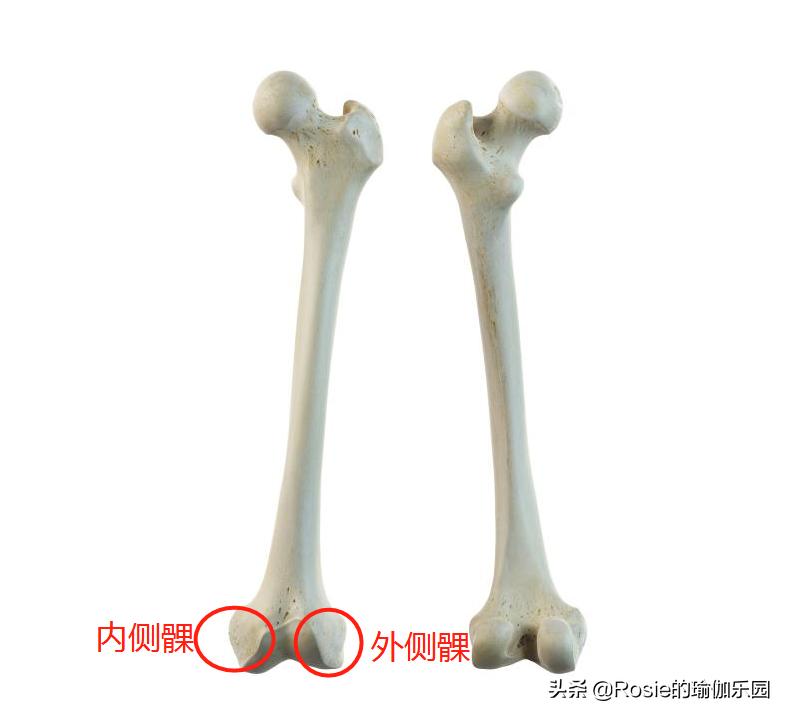 膝盖内扣扁平足怎么矫正,膝盖内扣怎么矫正腿型13岁