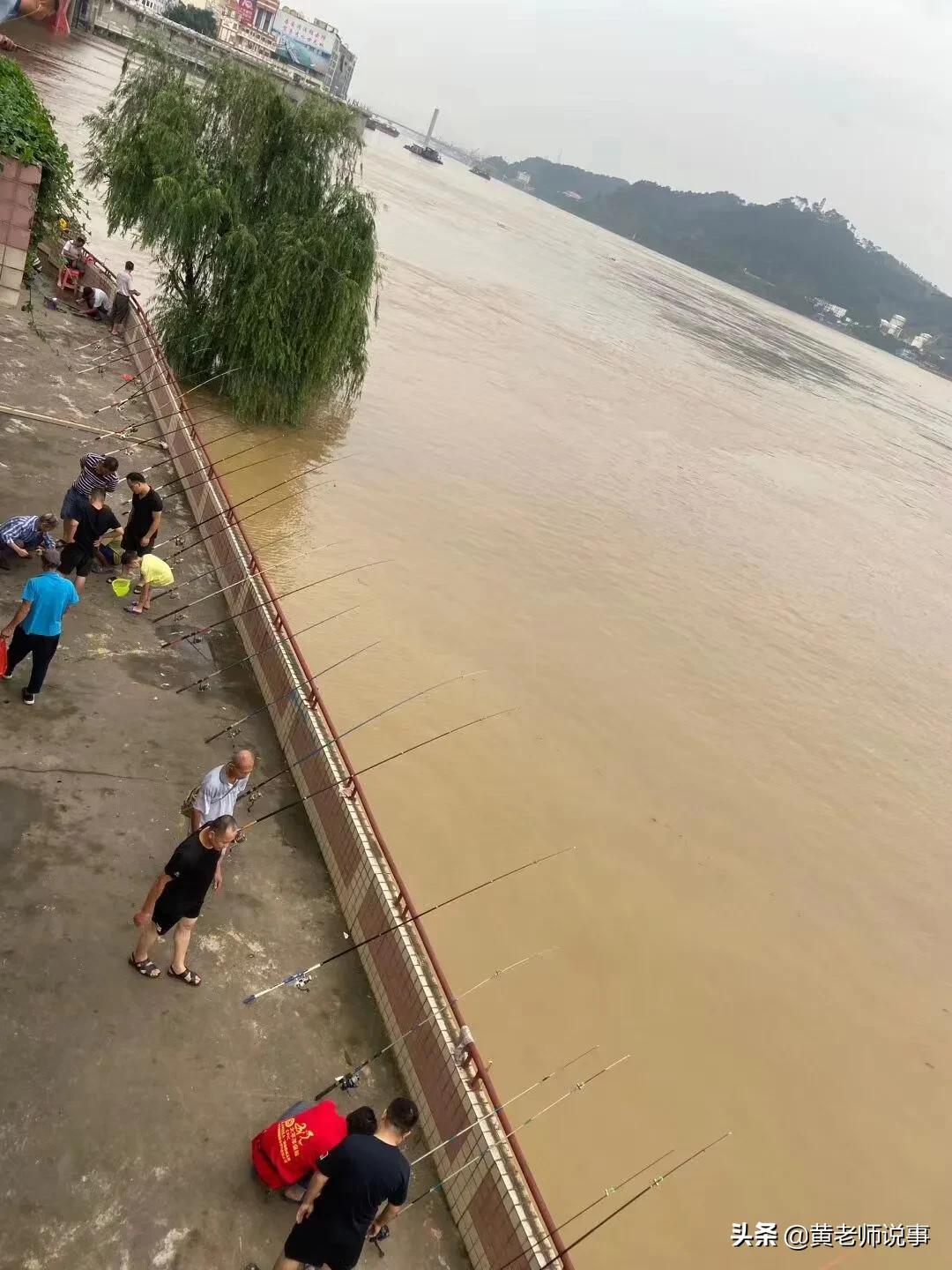 梧州西江洪水,梧州人面对洪水