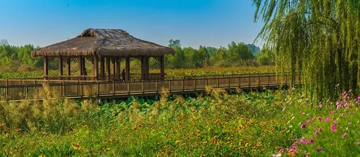 淄博周末旅游攻略自由行,淄博冬季旅游攻略