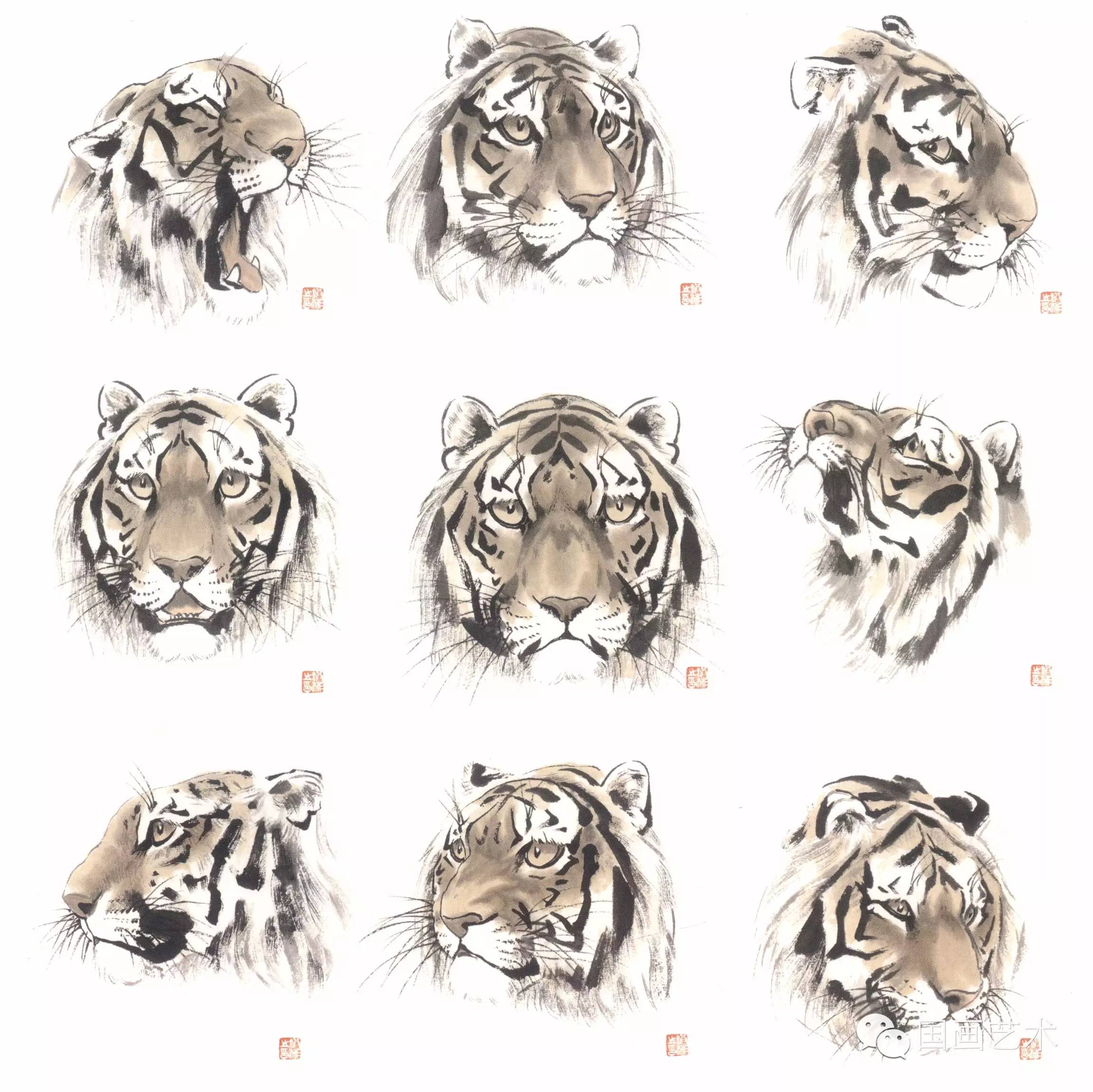 写意画虎教程,写意虎的十种方法