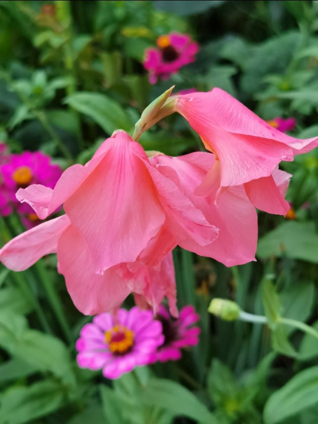 985大学家长求助学校,父母985孩子是学渣怎么开导孩子