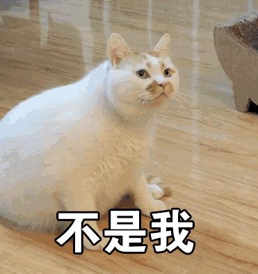 painintheass俚语,paininthebutt