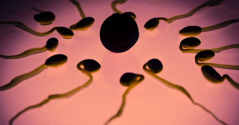 最新型避孕药,避孕药对男性的危害和副作用