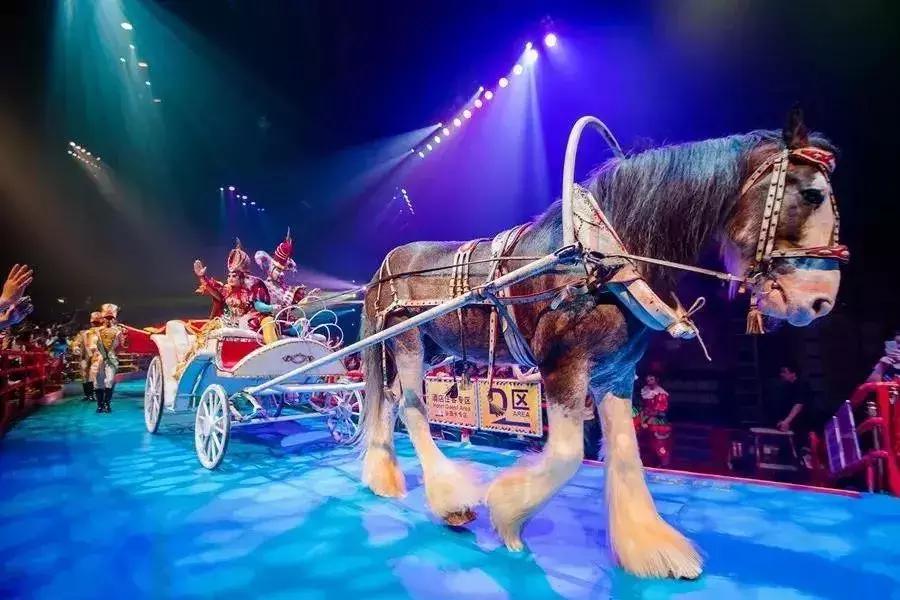 番禺好看的街景,番禺美丽的风光