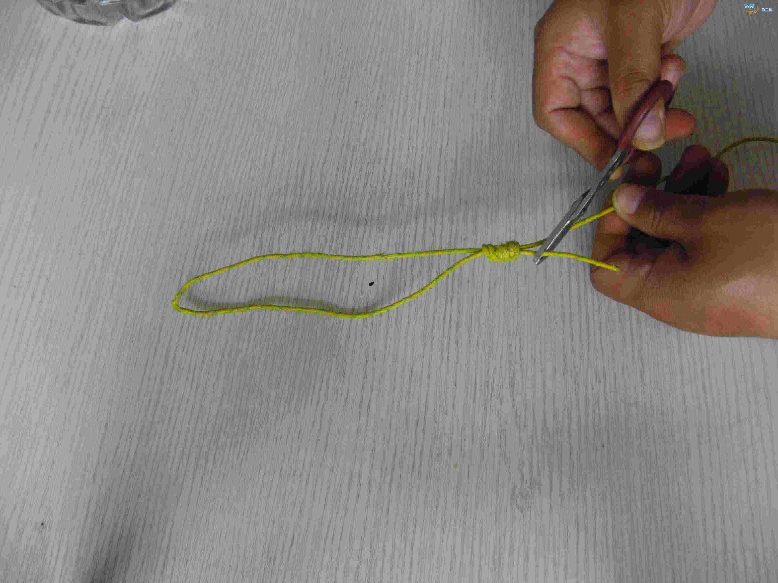 鱼竿马蹄结打结方法,鱼竿马蹄环怎么解