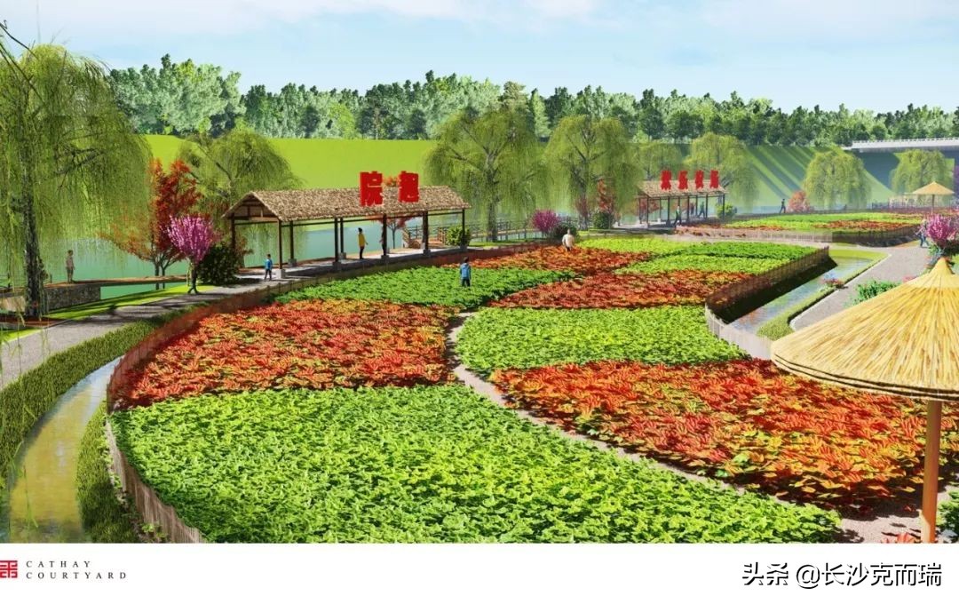 为什么长沙院子谁买谁上当,长沙院子最新进展