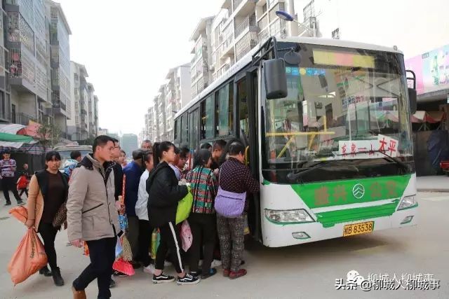 兴商活旅抓三产激发经济新活力——来自柳城县推动巩固拓展脱贫攻坚成果同乡村振兴有效衔接的报道之八