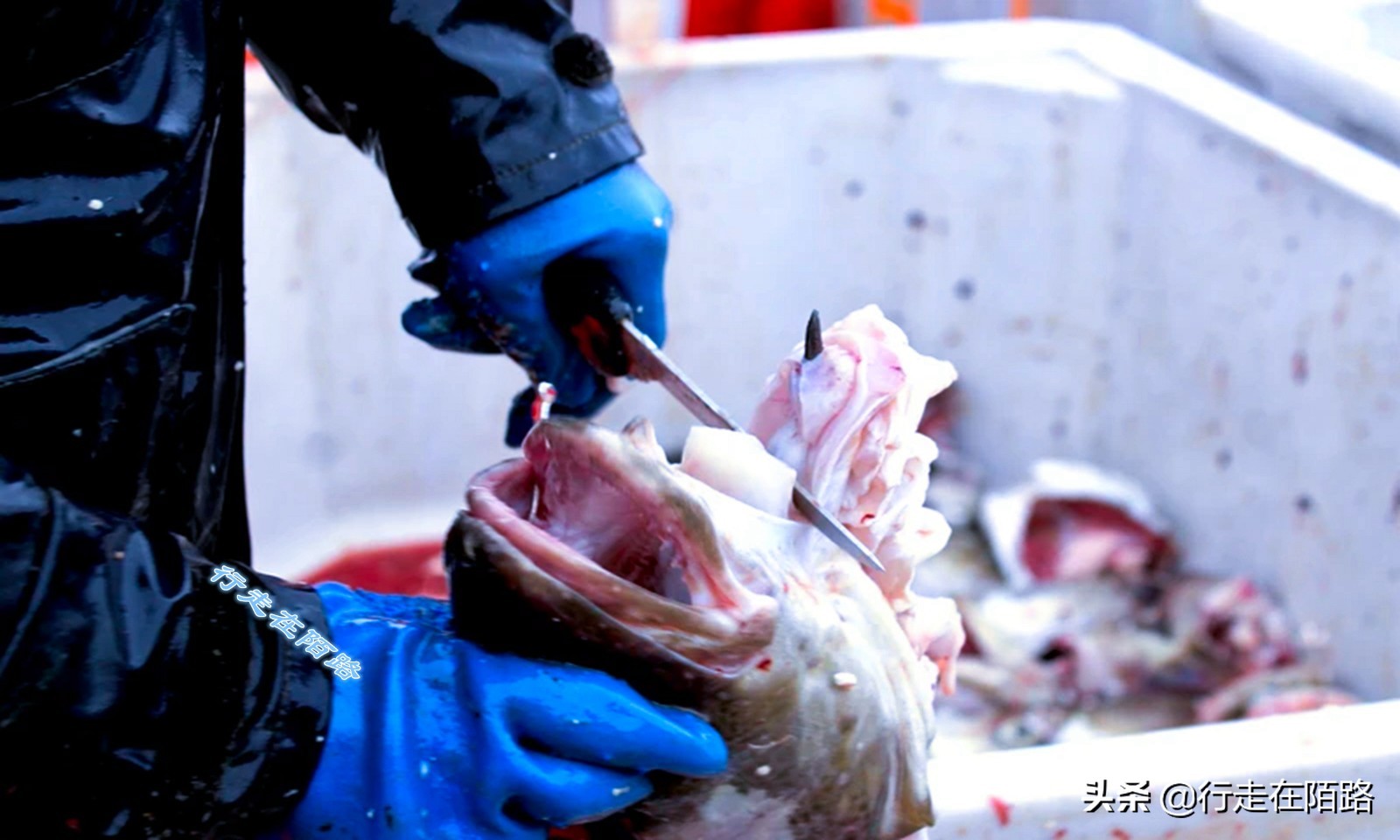 砸锅卖铁上一句,砸锅卖铁也要供你上学的励志语录