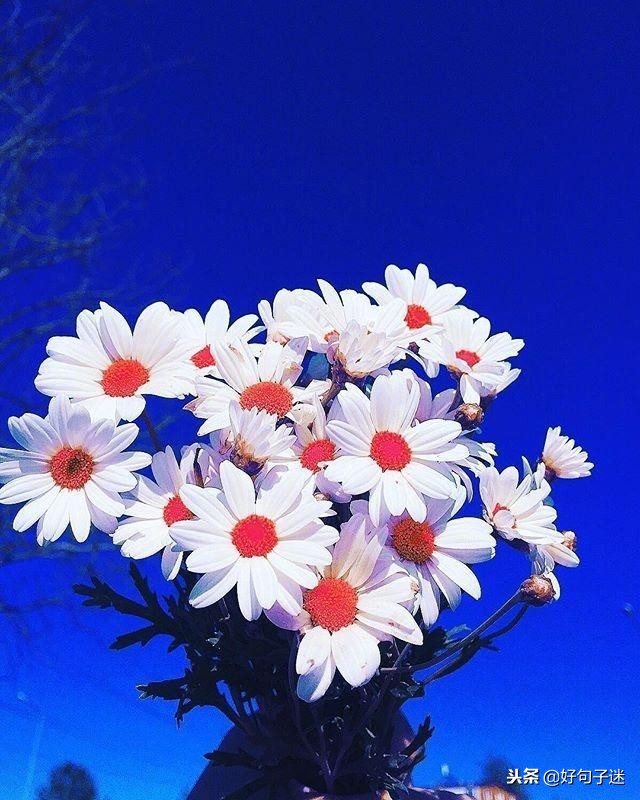 早安经典语录发朋友圈,早安正能量接地气简单语录