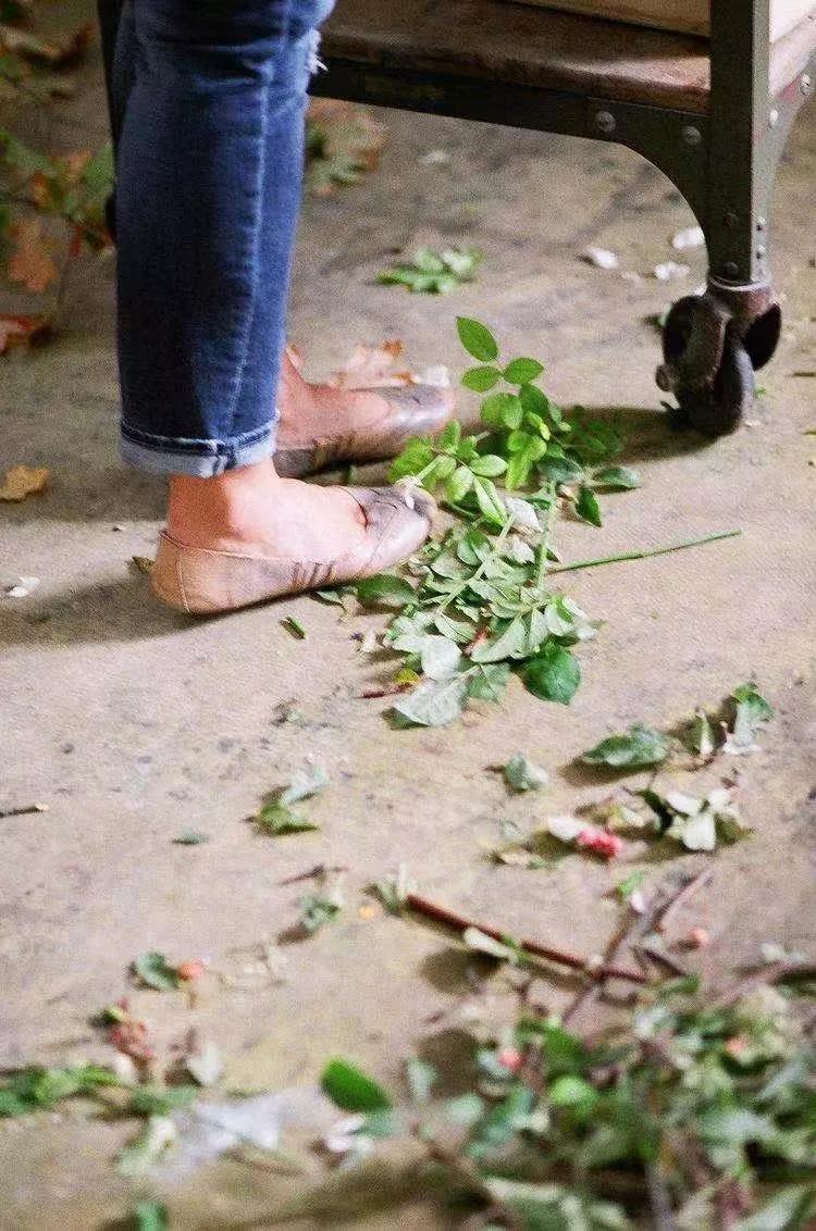 买花的套路和策略,买花的三个陷阱