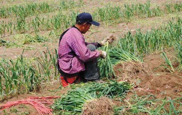 女学生家里进小偷,宿舍进小偷怎么办