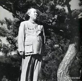 老一辈革命家理念,老一辈革命家的部分论述