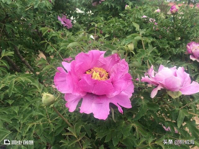 恒大球场建造视频,恒大球场美如画