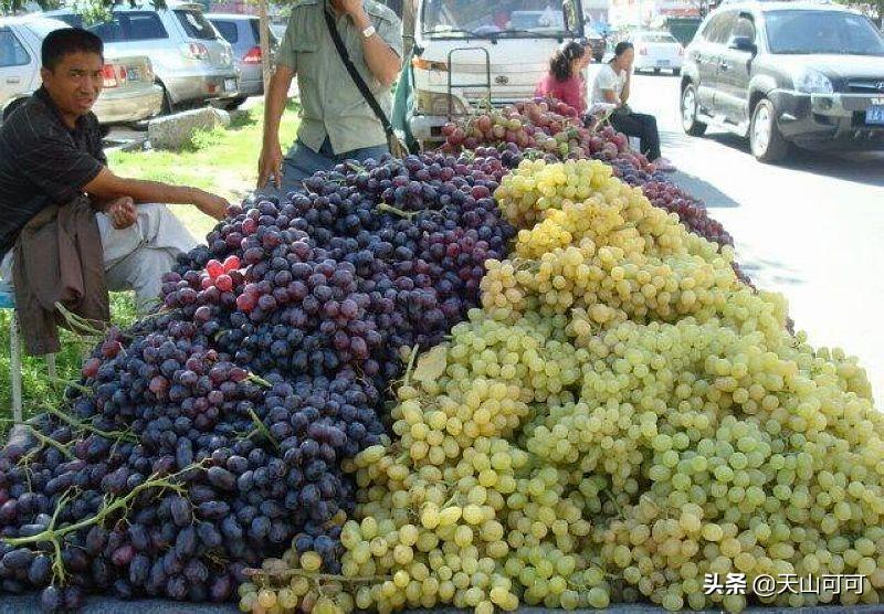 *疆新**有什么特色水果？收藏好，来了要多吃