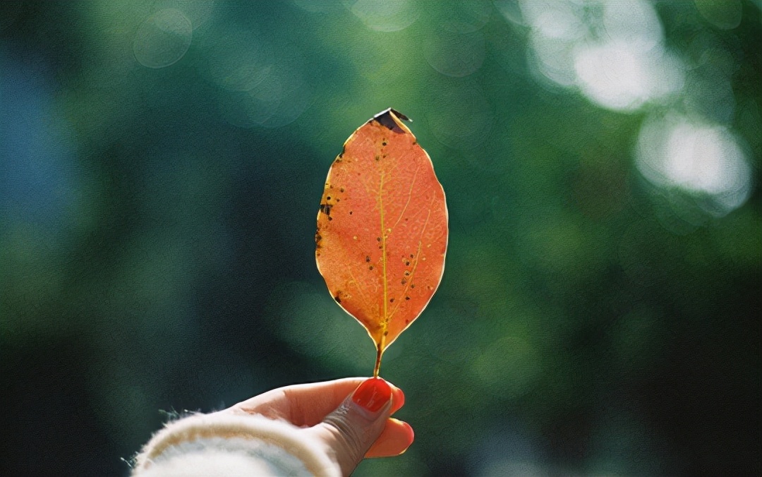 如何帮助抑郁症的人走出抑郁,抑郁症患者自己如何走出抑郁