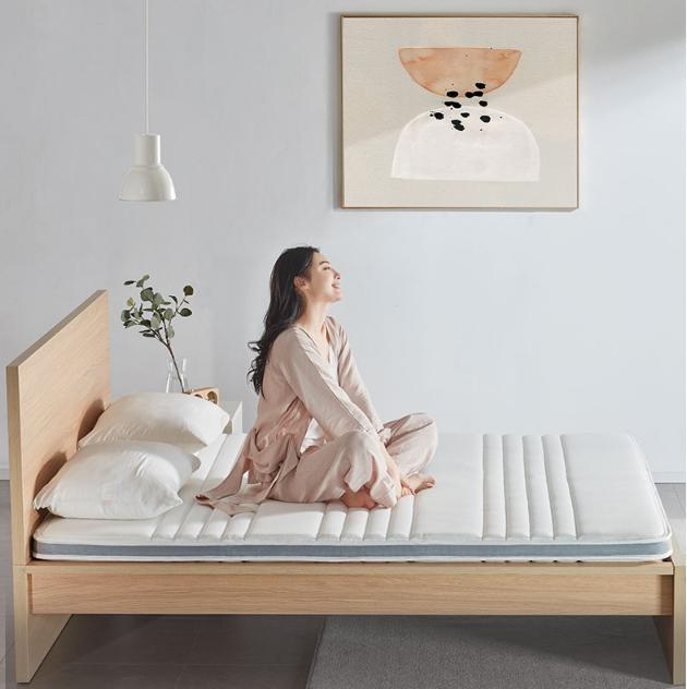 国产椰棕十大品牌,椰棕床垫子热销第一名