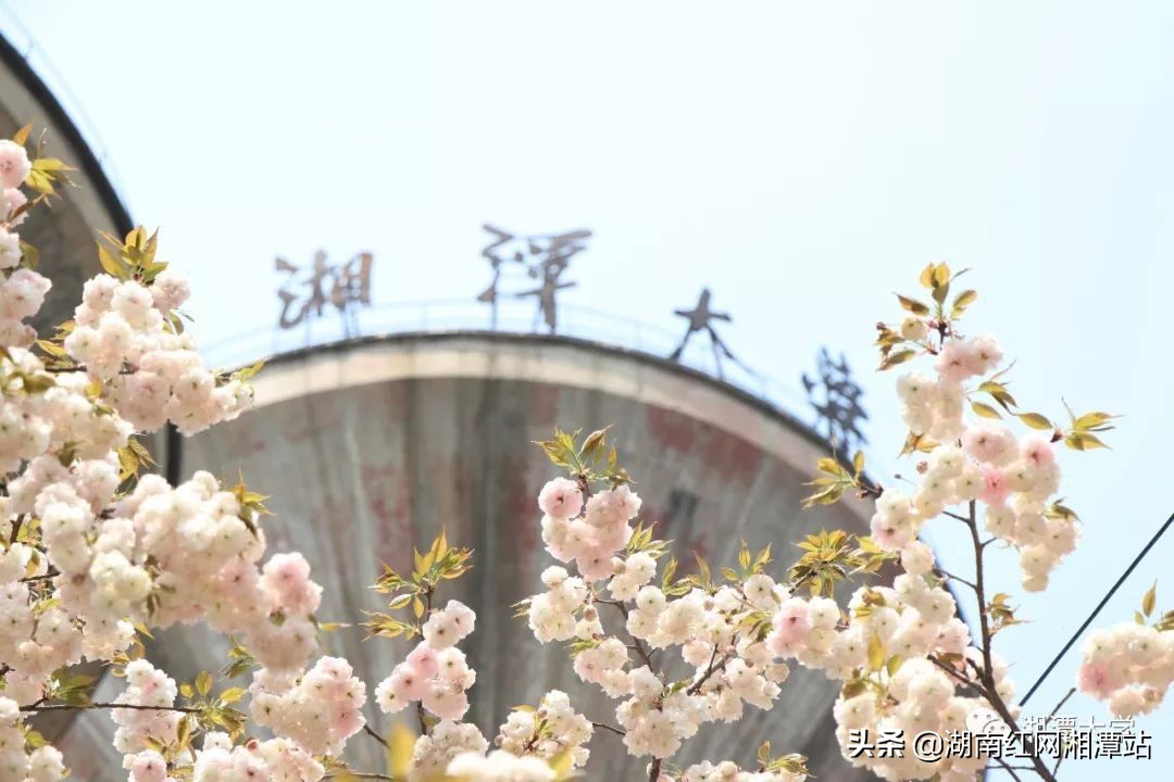 湘潭大学图,湘潭大学是湘大校友最多的大学