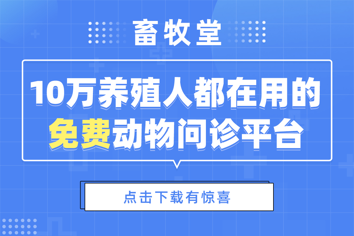 小猪呕吐是什么原因,恶心呕吐的原因和治疗方法