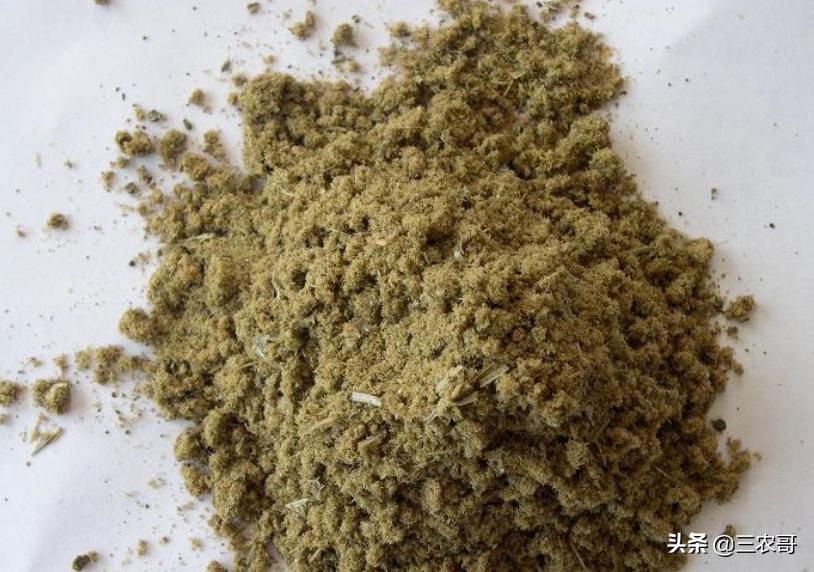 奶牛喂什么饲料,饲料喂奶牛