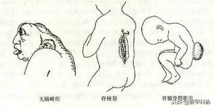小叶酸枝红木,小叶酸枝木价格