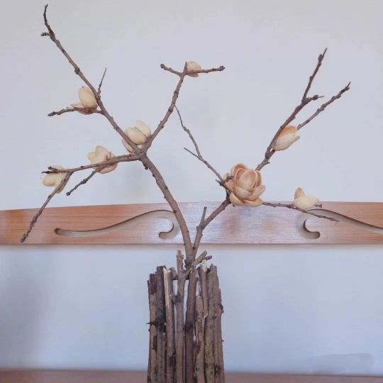 开心果果壳发绿,开心果壳别扔