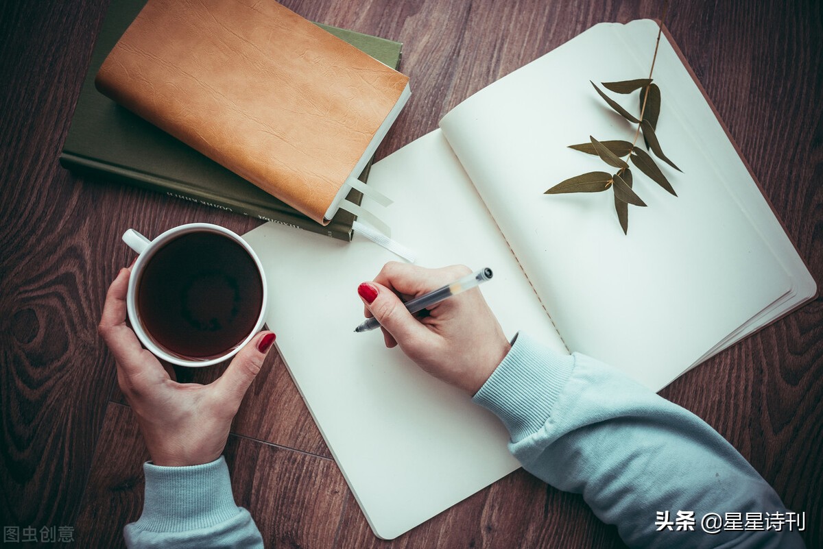 星星诗刊发表的诗歌,星星诗刊散文