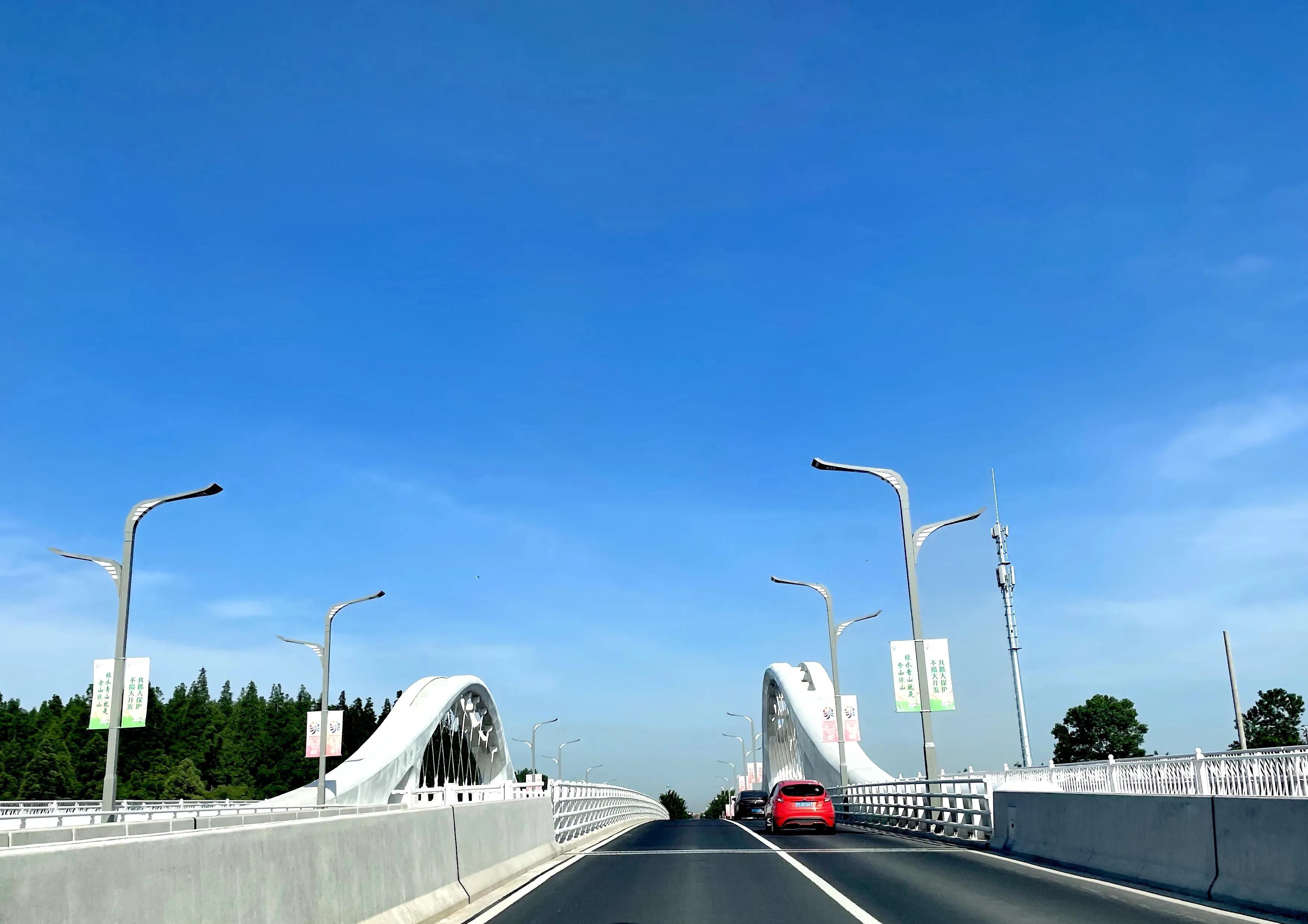 关于崇明花博会,崇明花博会全程花景