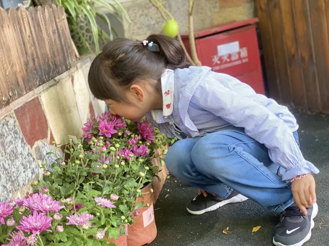 秋天你好吗,秋天你好