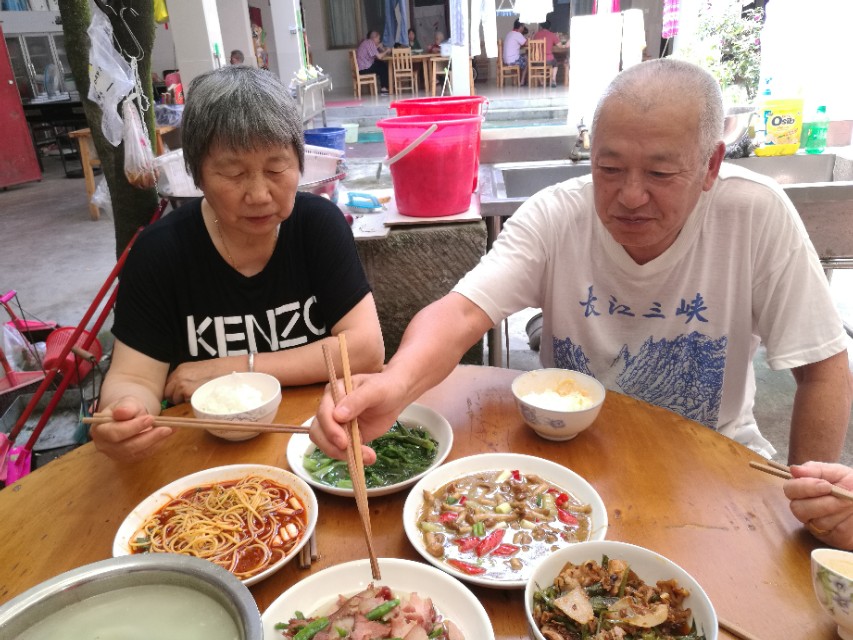 青城山农家乐介绍范文,青城山镇药王山下农家乐的故事