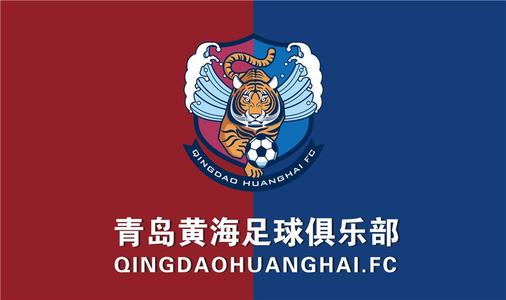 2024中超各支球队队歌合集,中超2020赛季16队名单