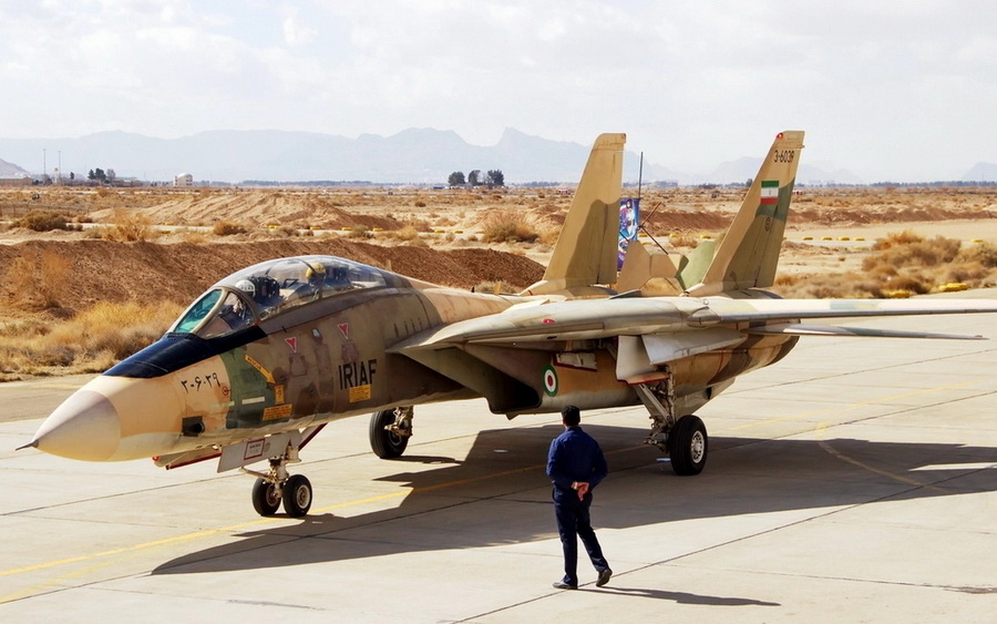 猫咪需要哪些用品,猫迷惑新技能