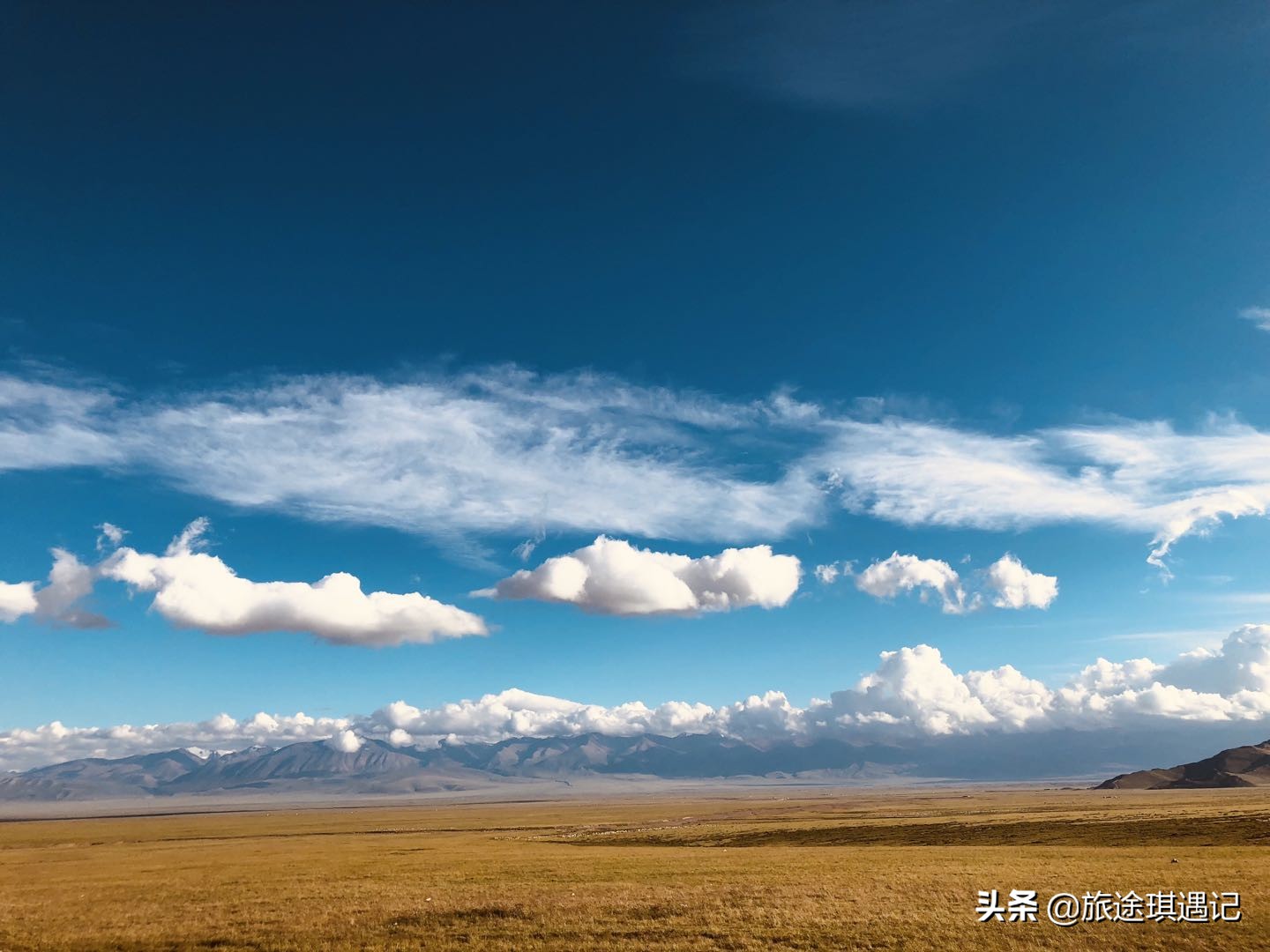 去新疆南疆北疆,去南疆北疆游